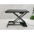 Durable Electric Lifting Pet Grooming Table for Large Dogs